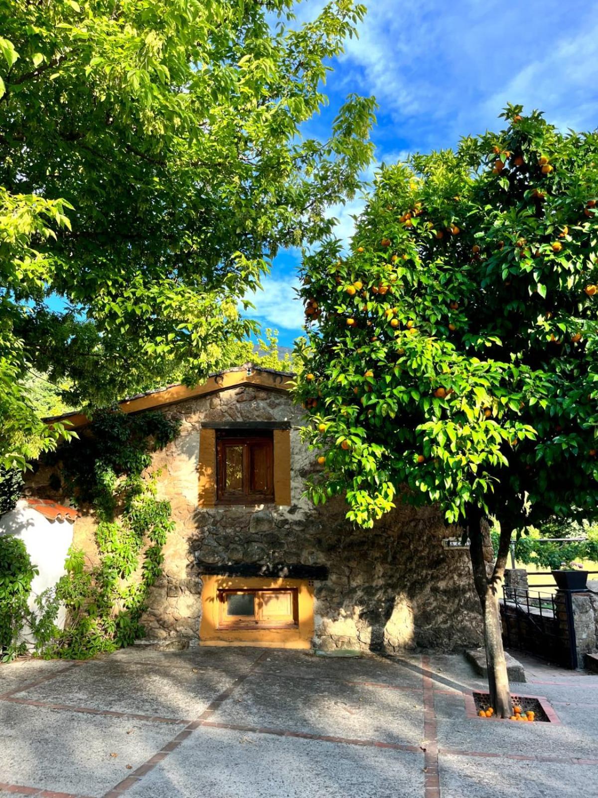 La Caseria Navaconcejo